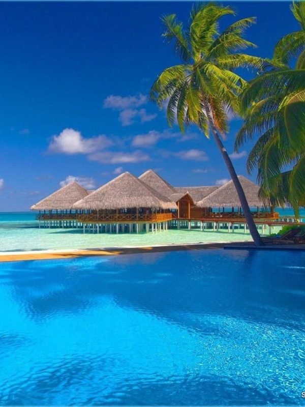 0b205c2aebe3fbcc757aa332459ae014