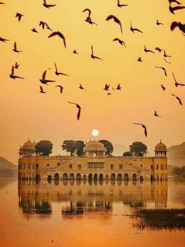 0bd325e6240da13cc579e658fd2011f0