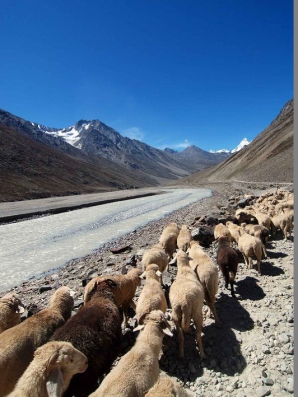 0f9ee7ea7bf5d391c486aeb70a934ac0