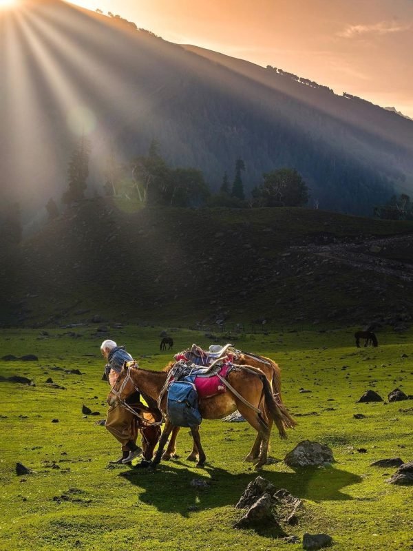 16626513751901309427