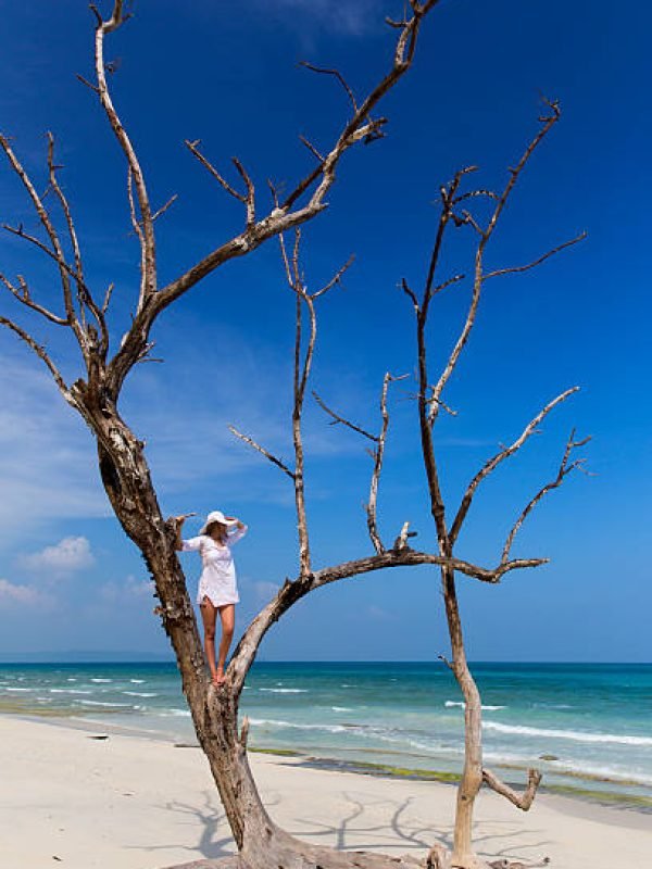 Beautiful woman in a tree wearing bikini/kaftan, looking out to sea.