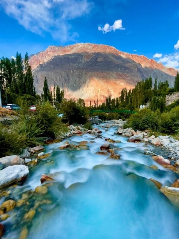 16627157761794733199