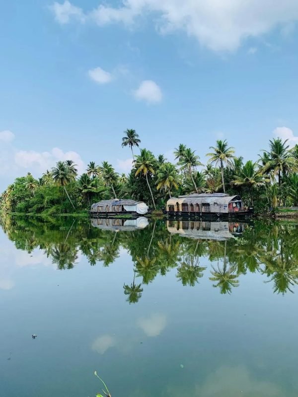 16627219121898303790