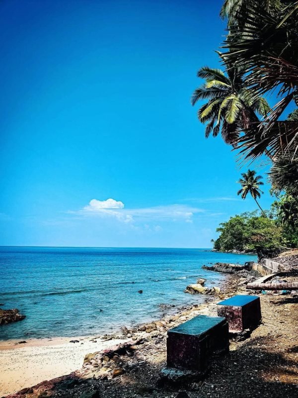 16673717081187312663