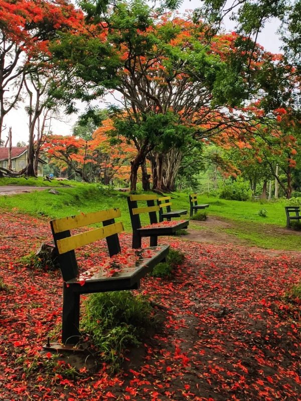 16692747971143310147