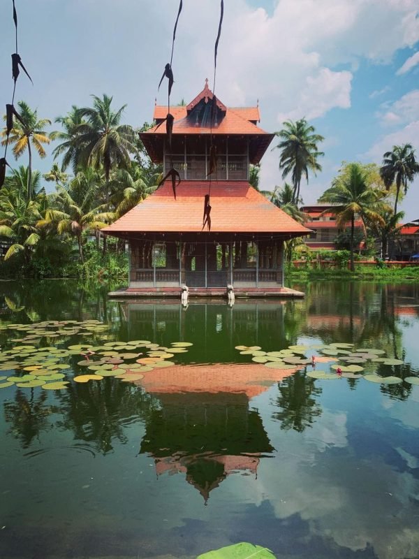 16692805681436816289