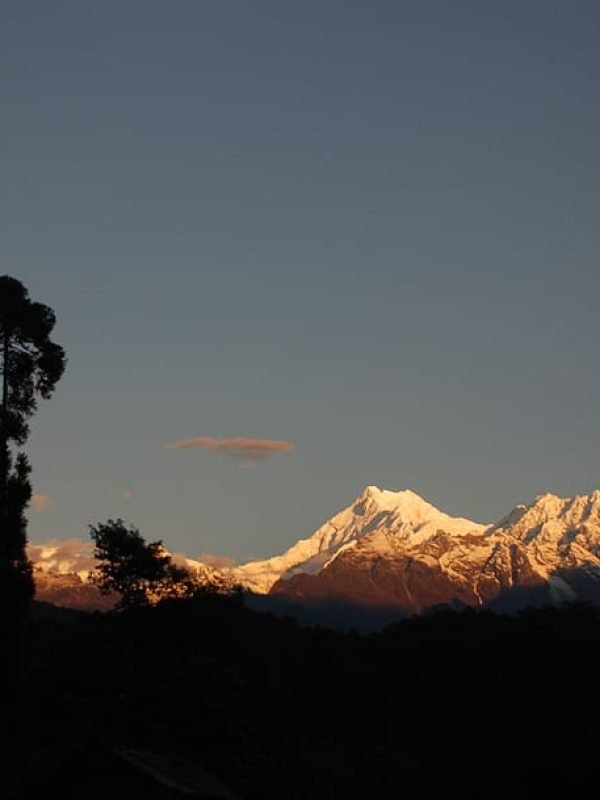 16893153201602614534