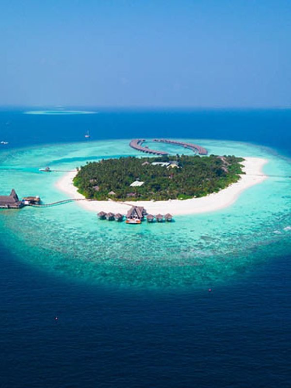 16905240621027875954