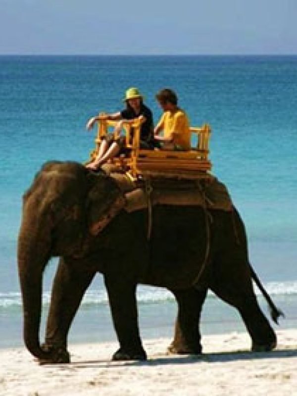 16905248541828679656