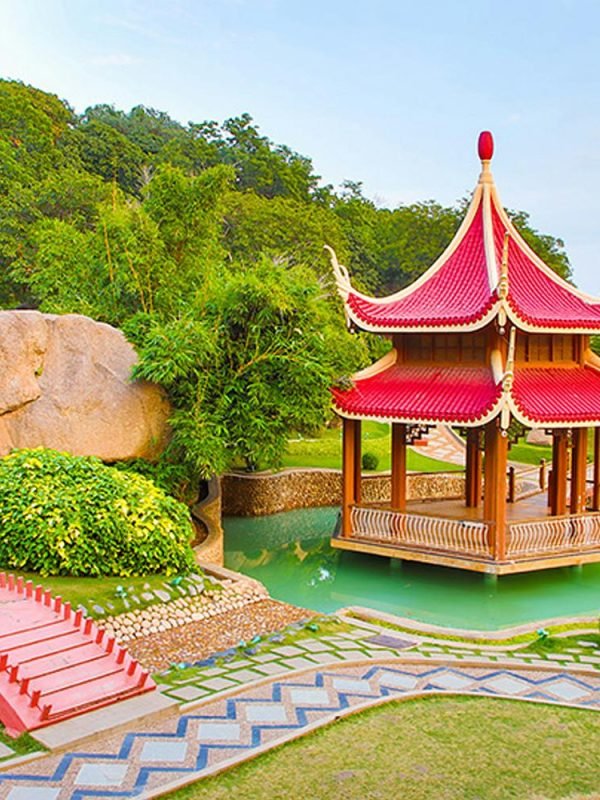 17320871071798128662 (1)