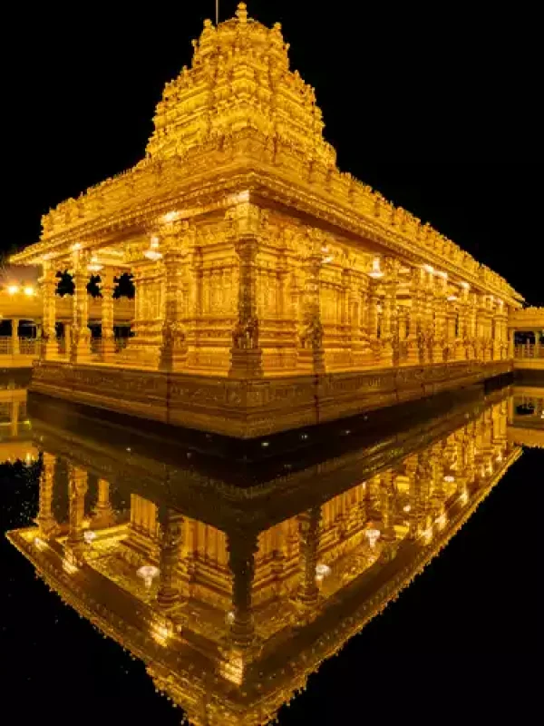 17321725111339844408