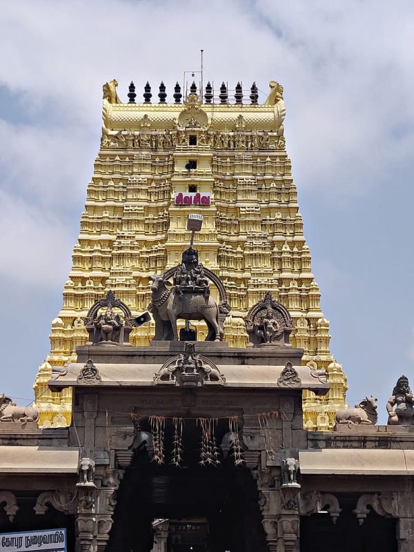 17321740351793363750