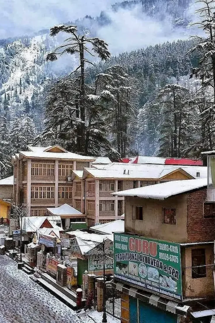 238767859_1027415738032240_3862115593724080113_n