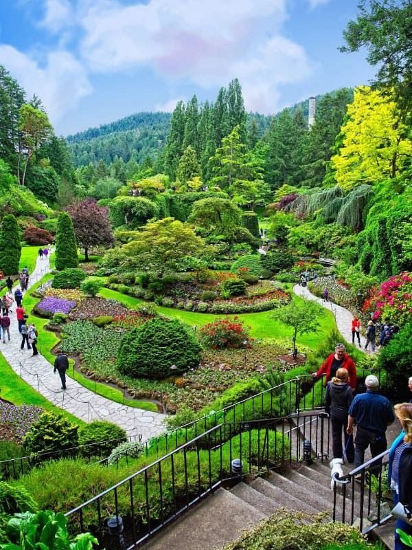 2b9d606d11936e9687dcc009b939c901