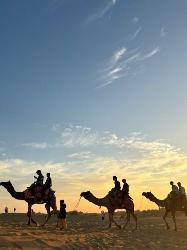 2d55efa28669770df6fbb8605e58991d