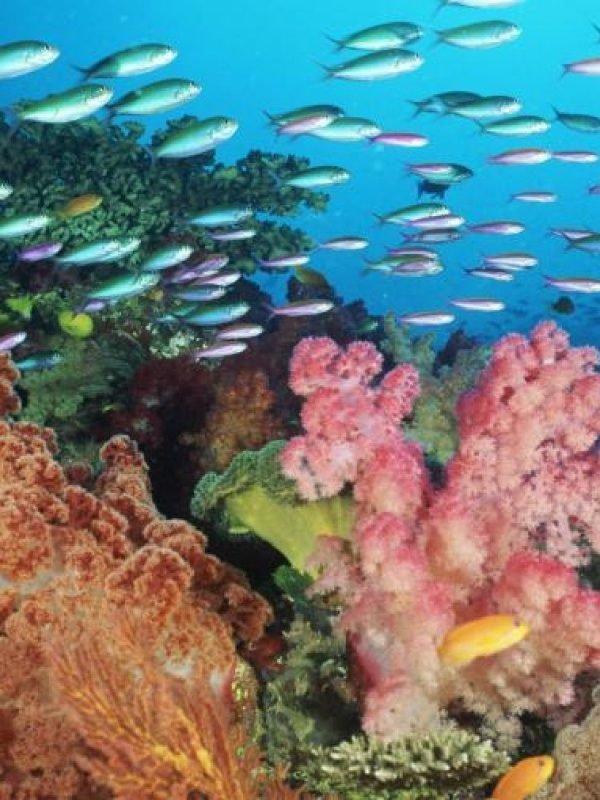 38c9125cd77a8c65101f845ce3436360