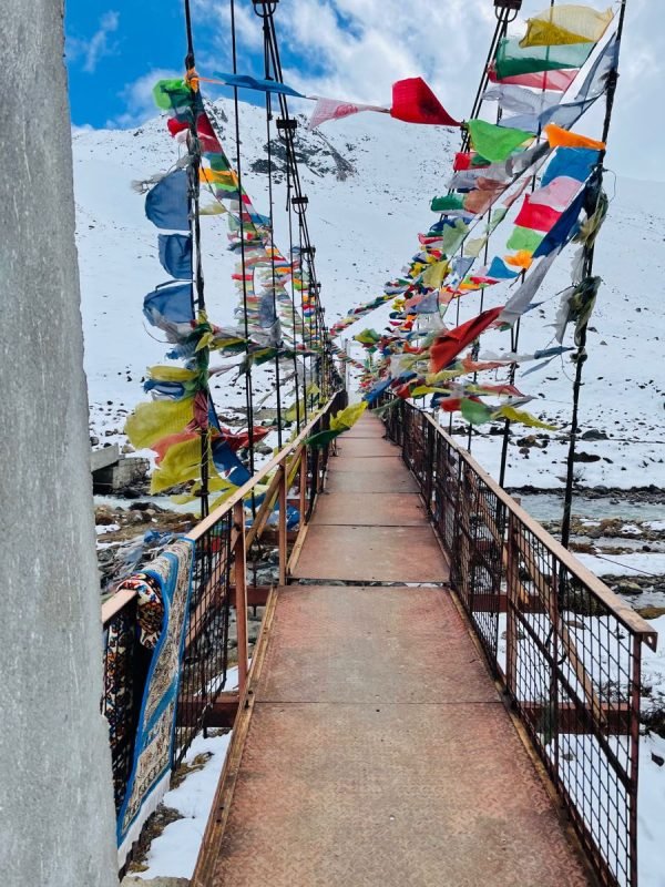 4ae5dab57155660a21937a2024b4cc53