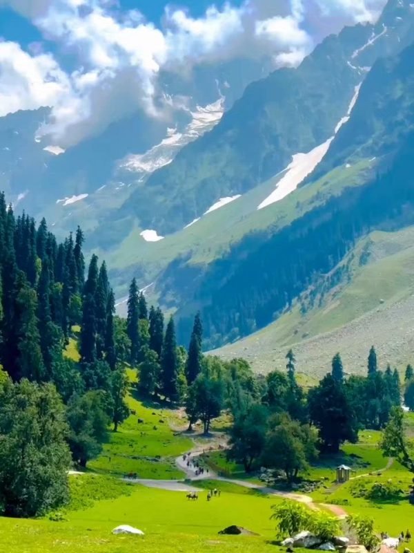 6868a26d53d1afe8e59e1eb6785ea152.0000000