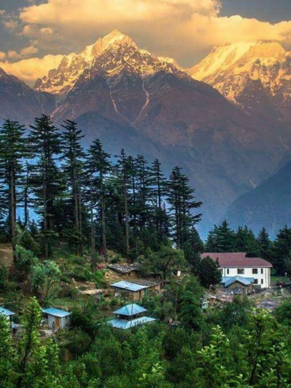 6da59b546f5fa3e0c6ff66ea8b8ccedb