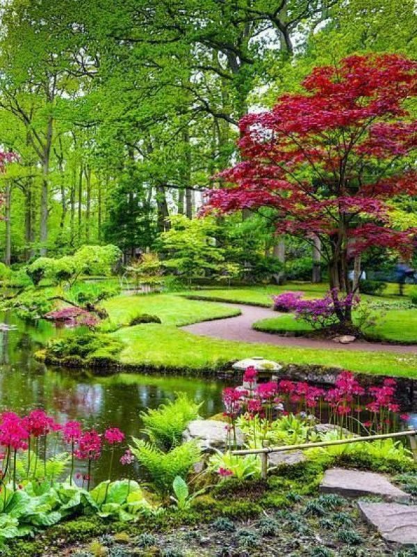 6e662d319c0c3d5ea47e4ae2508c6f50