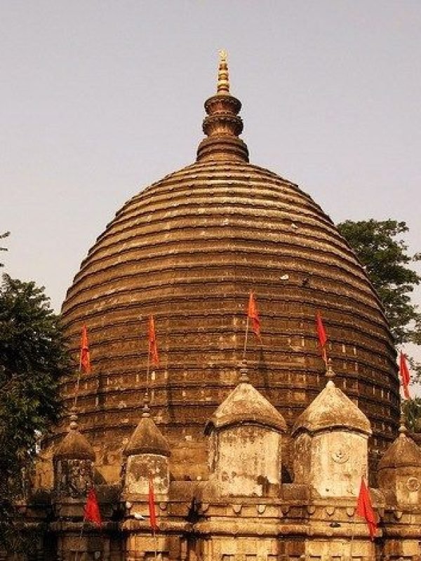 866a8682b7c547a2221ca882caa01b16