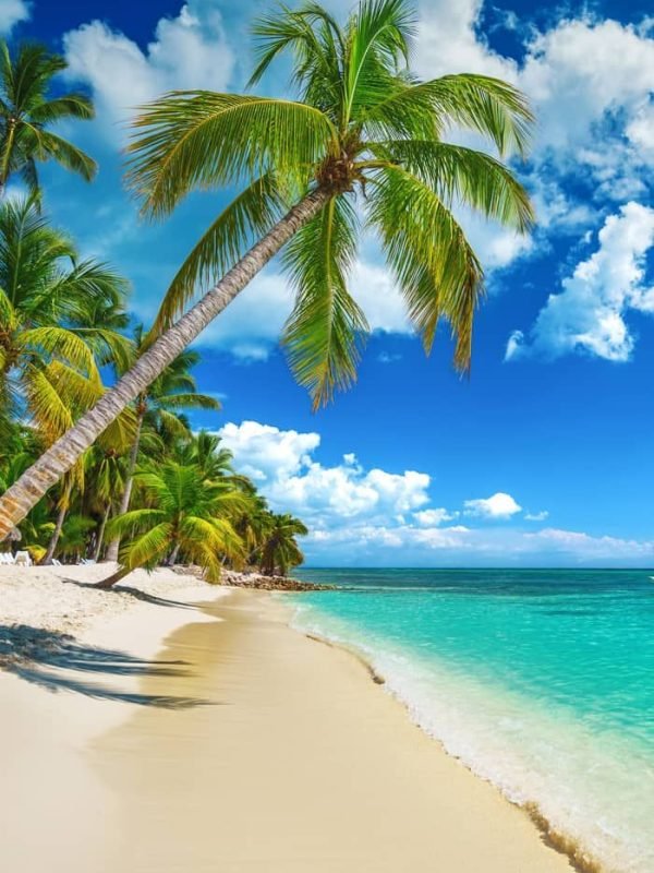 8a529dd9a398392c6dc0b8a2534f769f