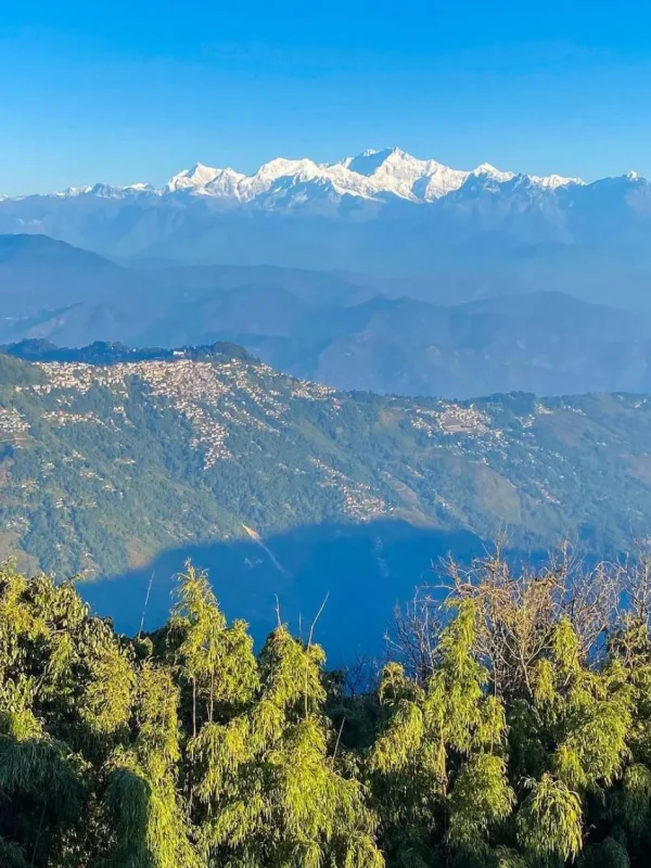 WhatsApp Image 2024-04-04 at 1.42.39 AM