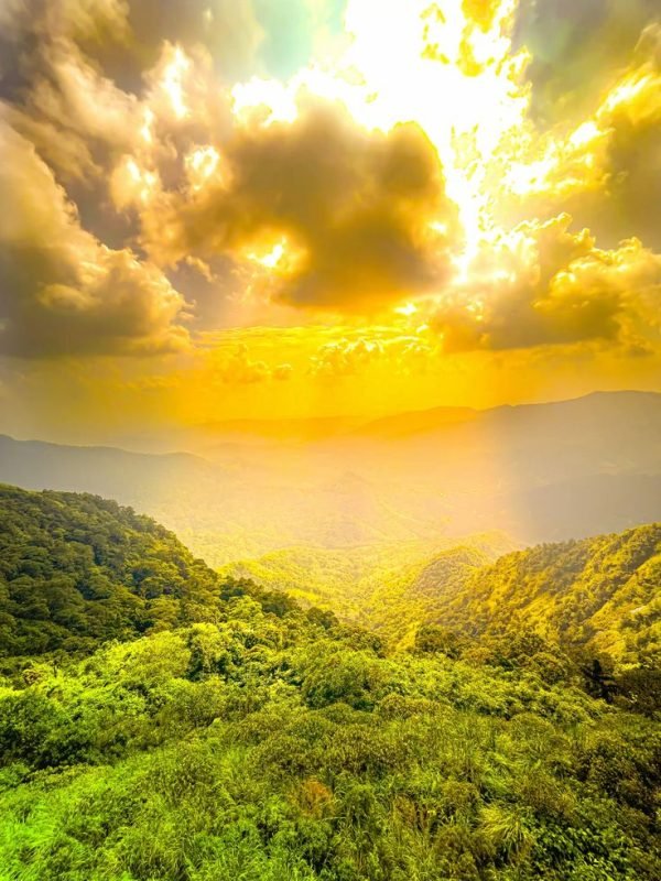 a0eae738286c86eeda2390ea473e73a6