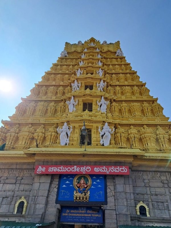 a1ccd01eebd7cf4c39d58f31d6493f58