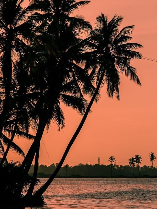 a4a72c1d0d249a58656ce3248cfdb403