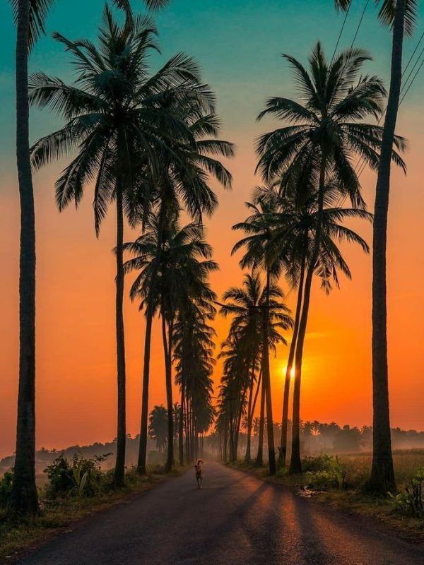 abdbe9fb366ea09d6fb2ae1bea174dfa