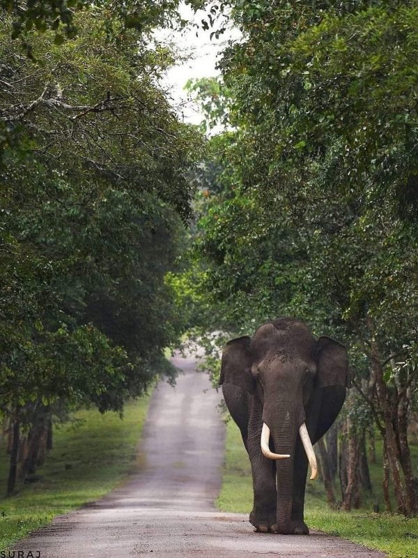 add8bad823441bfe86dd0eb990b9c046