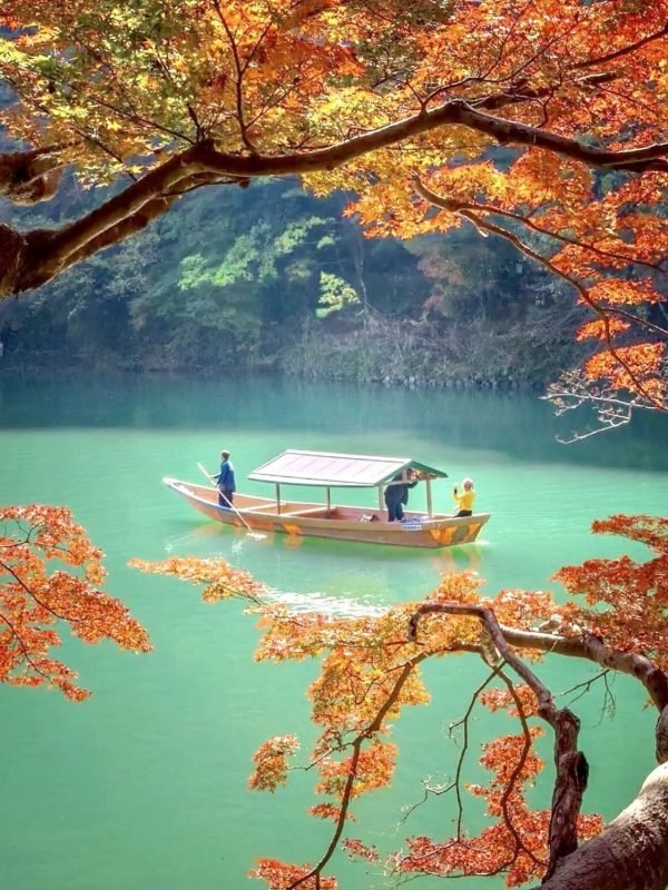 c9eb8d89654324c7e7224c410df02acd