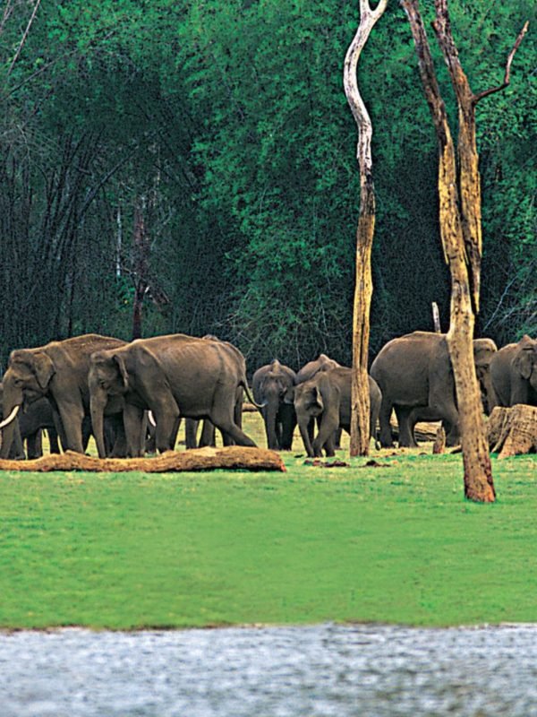 cb15b03fd98365dbcb5cb0f36543c956