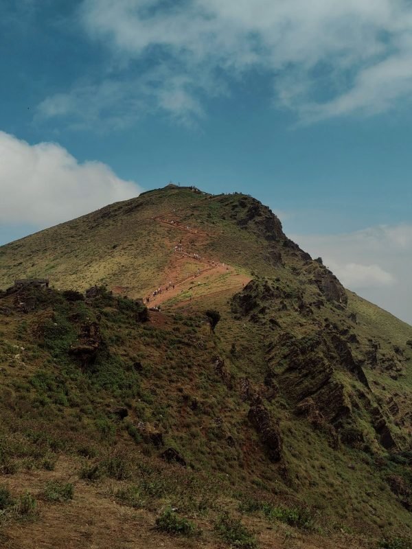 dbd6656724685d93d3f9c43d8e754228