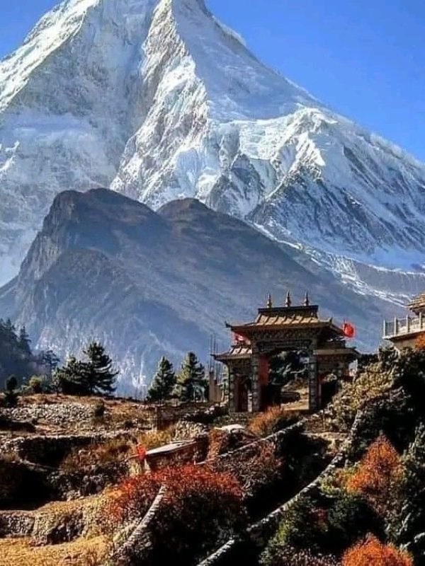 de7e87b5ec573119485ee7daf6d0f64a