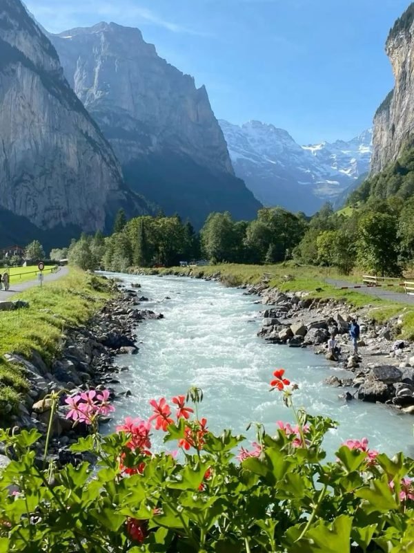 ff01d4869a85316383c24c1d19c07c22