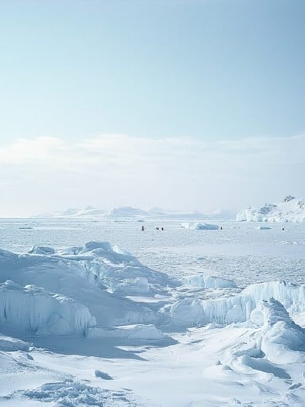 frozen-arctic-landscape-stockcake