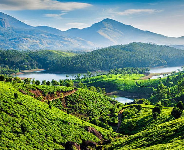 Tea plantations and Muthirappuzhayar River in hills near Munnar, Kerala, India